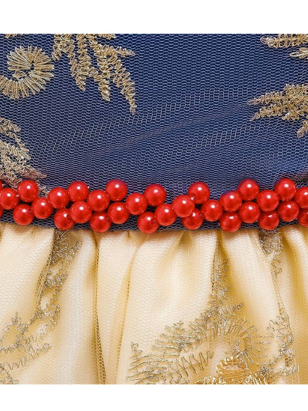 Baby Floral Lace Embroidered Beaded Dress with Bow-Gold