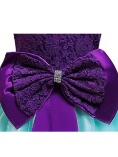 Baby Floral Lace Embroidered Beaded Dress with Bow