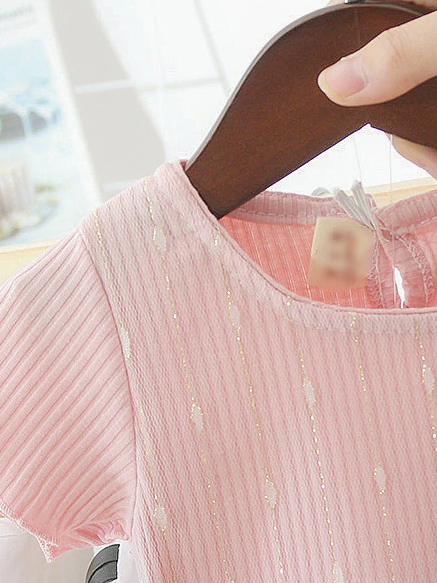 Baby Blooming Flower Tulle Overlay Dress