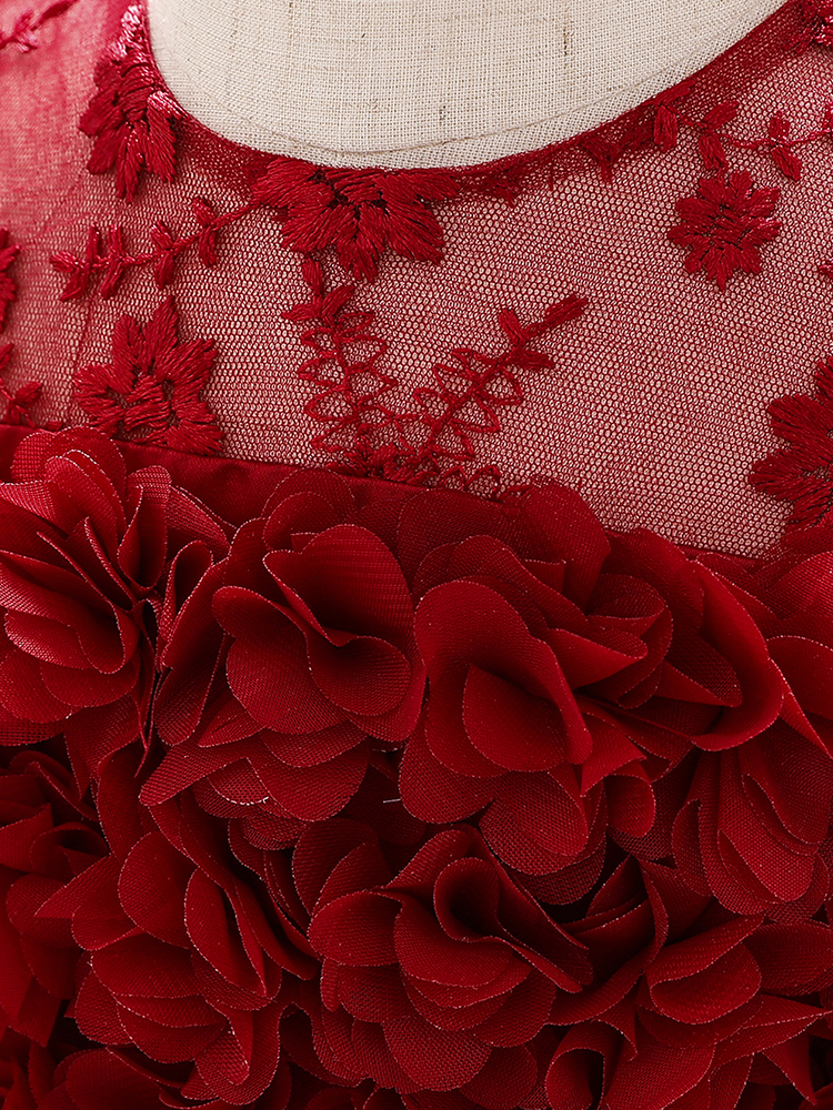 The dress has a bodice with flower applique and tulle skirt