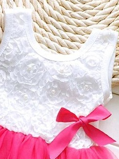 Baby Flower Petals Tutu Dress